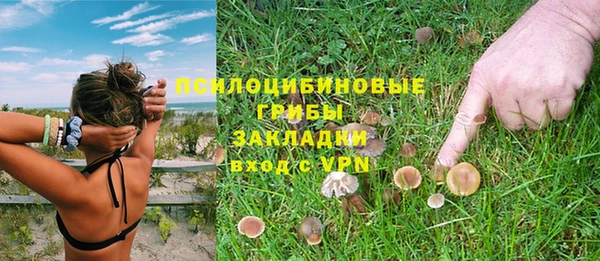 Альфа ПВП Алексеевка
