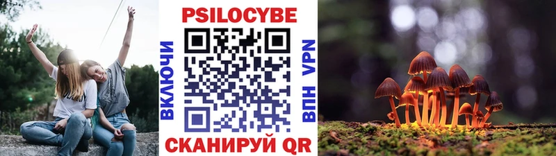 Псилоцибиновые грибы Psilocybine cubensis  Дрезна 